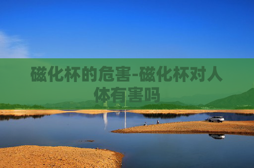 磁化杯的危害-磁化杯对人体有害吗