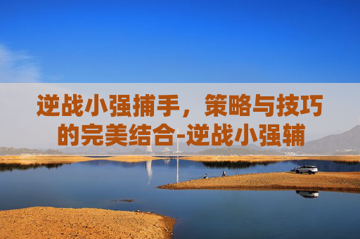 逆战小强捕手，策略与技巧的完美结合-逆战小强辅
