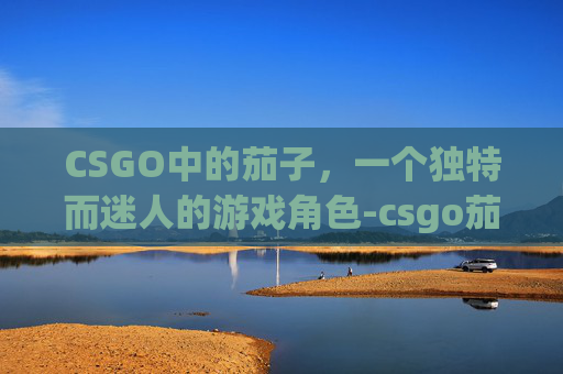 CSGO中的茄子，一个独特而迷人的游戏角色-csgo茄子丑照