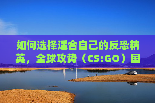 如何选择适合自己的反恐精英，全球攻势（CS:GO）国际服-csgo如何选国际服