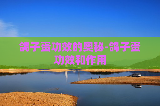 鸽子蛋功效的奥秘-鸽子蛋功效和作用