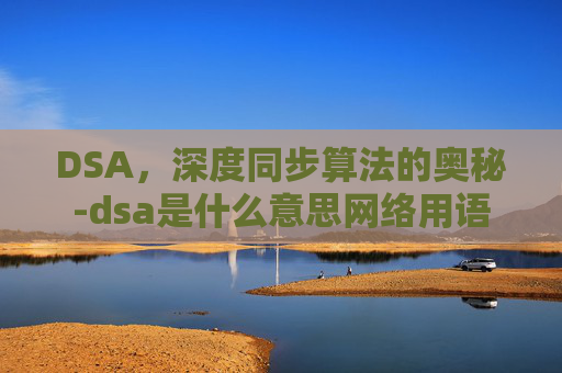 DSA，深度同步算法的奥秘-dsa是什么意思网络用语