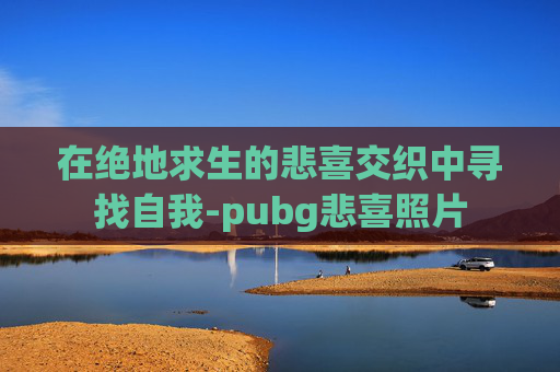 在绝地求生的悲喜交织中寻找自我-pubg悲喜照片