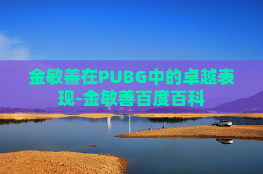 金敏善在PUBG中的卓越表现-金敏善百度百科