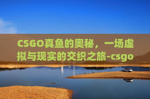 CSGO真鱼的奥秘，一场虚拟与现实的交织之旅-csgo纯正
