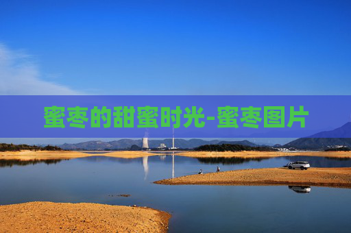蜜枣的甜蜜时光-蜜枣图片