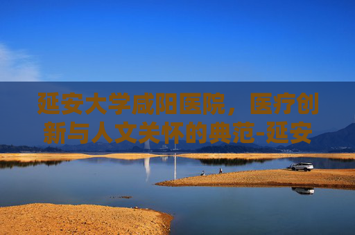 延安大学咸阳医院，医疗创新与人文关怀的典范-延安大学咸阳医院是公立还是私立
