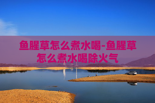 鱼腥草怎么煮水喝-鱼腥草怎么煮水喝除火气