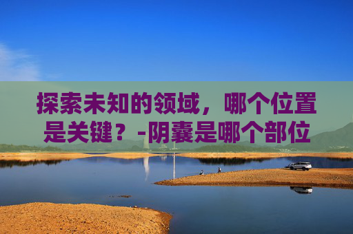 探索未知的领域，哪个位置是关键？-阴囊是哪个部位
