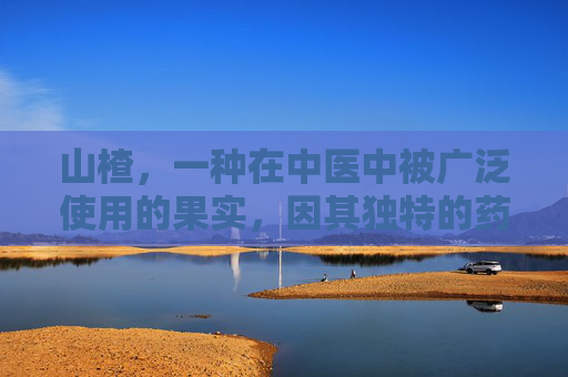 山楂，一种在中医中被广泛使用的果实，因其独特的药理作用而备受推崇。它不仅是一种美味的水果，更蕴含着丰富的健康益处。接下来，我们将探讨山楂的功效，并分析其对人体健康的积极影响。-花椒生姜陈皮山楂有什么功效