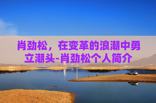 肖劲松，在变革的浪潮中勇立潮头-肖劲松个人简介
