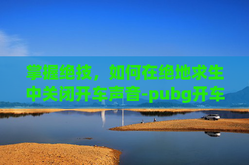 掌握绝技，如何在绝地求生中关闭开车声音-pubg开车怎么静音