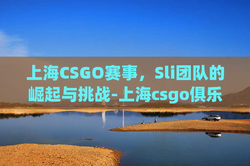 上海CSGO赛事，Sli团队的崛起与挑战-上海csgo俱乐部
