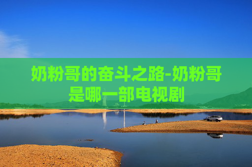 奶粉哥的奋斗之路-奶粉哥是哪一部电视剧