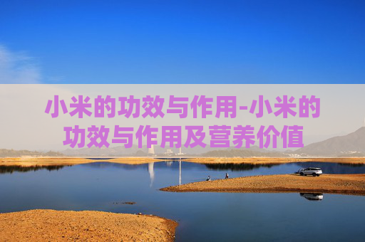 小米的功效与作用-小米的功效与作用及营养价值