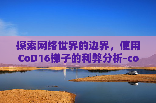 探索网络世界的边界，使用CoD16梯子的利弊分析-cod16ttk