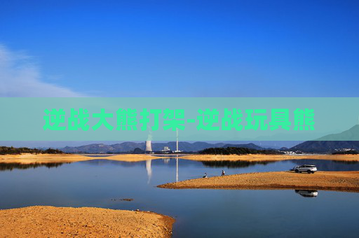 逆战大熊打架-逆战玩具熊