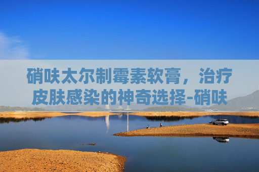 硝呋太尔制霉素软膏,治疗皮肤感染的神奇选择-硝呋太尔制霉素软膏的作用与功效 硝呋太尔制霉素软膏,治疗皮肤感染的神奇选择-硝呋太尔制霉素软膏的作用与功效