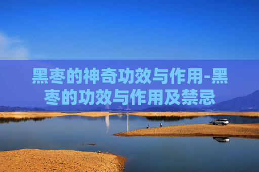 黑枣的神奇功效与作用-黑枣的功效与作用及禁忌 黑枣的神奇功效与作用-黑枣的功效与作用及禁忌