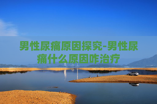 男性尿痛原因探究-男性尿痛什么原因咋治疗 男性尿痛原因探究-男性尿痛什么原因咋治疗