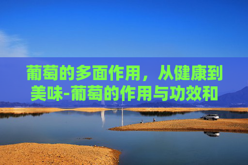 葡萄的多面作用,从健康到美味-葡萄的作用与功效和营养 葡萄的多面作用,从健康到美味-葡萄的作用与功效和营养