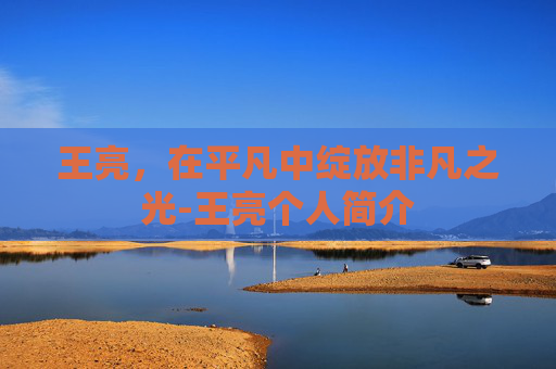 王亮，在平凡中绽放非凡之光-王亮个人简介