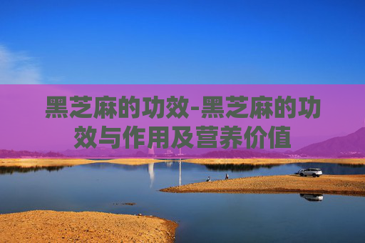 黑芝麻的功效-黑芝麻的功效与作用及营养价值