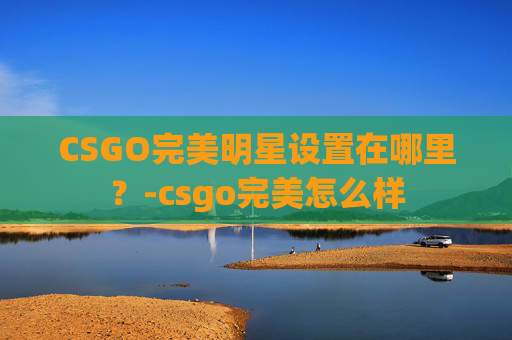 CSGO完美明星设置在哪里？-csgo完美怎么样