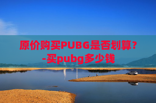 原价购买PUBG是否划算？-买pubg多少钱