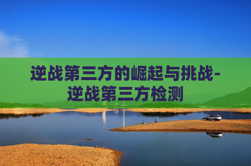逆战第三方的崛起与挑战-逆战第三方检测