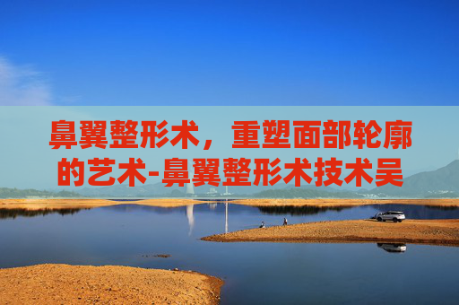 鼻翼整形术，重塑面部轮廓的艺术-鼻翼整形术技术吴玉家
