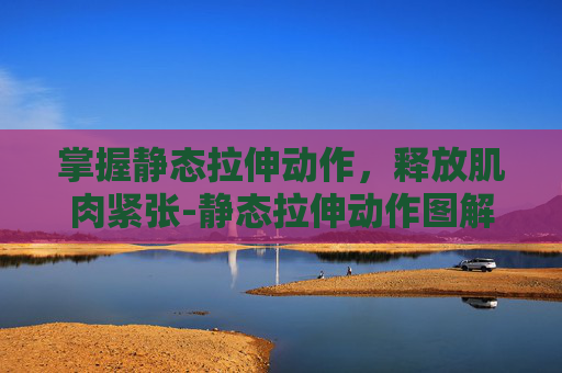 掌握静态拉伸动作，释放肌肉紧张-静态拉伸动作图解大全