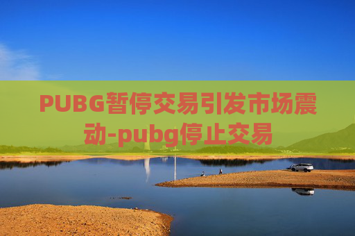 PUBG暂停交易引发市场震动-pubg停止交易
