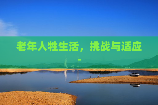 老年人牲生活，挑战与适应-