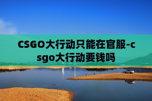 CSGO大行动只能在官服-csgo大行动要钱吗