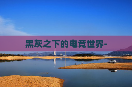 黑灰之下的电竞世界-
