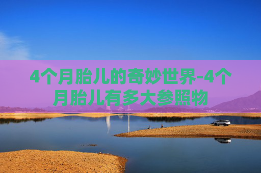 4个月胎儿的奇妙世界-4个月胎儿有多大参照物