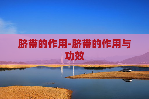 脐带的作用-脐带的作用与功效 脐带的作用-脐带的作用与功效
