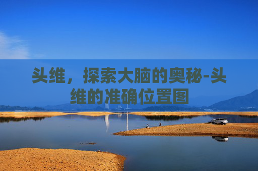 头维,探索大脑的奥秘-头维的准确位置图 头维,探索大脑的奥秘-头维的准确位置图