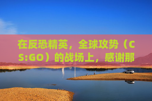 在反恐精英,全球攻势(CS:GO)的战场上,感谢那些不可或缺的英雄们-csgo感人语录 在反恐精英,全球攻势(CS:GO)的战场上,感谢那些不可或缺的英雄们-csgo感人语录