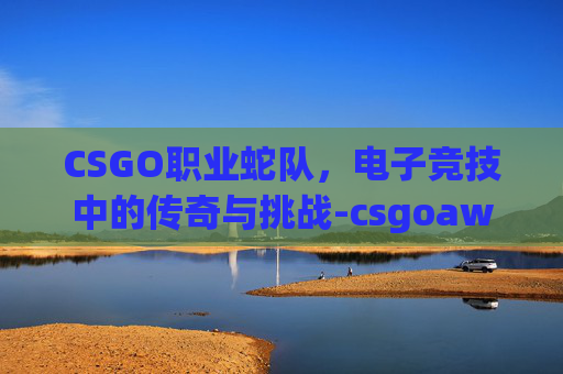 CSGO职业蛇队,电子竞技中的传奇与挑战-csgoawp蛇 CSGO职业蛇队,电子竞技中的传奇与挑战-csgoawp蛇