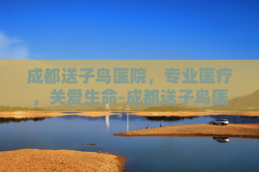 成都送子鸟医院,专业医疗,关爱生命-成都送子鸟医院怎么样 成都送子鸟医院,专业医疗,关爱生命-成都送子鸟医院怎么样