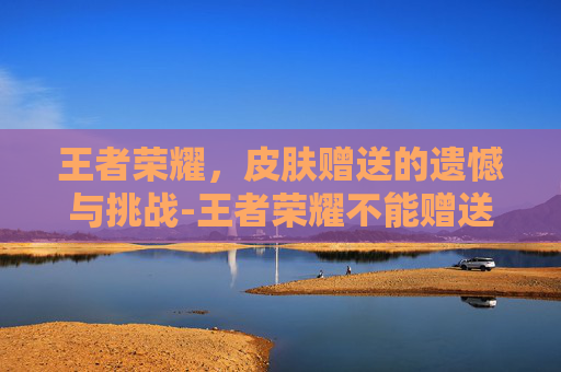 王者荣耀，皮肤赠送的遗憾与挑战-王者荣耀不能赠送皮肤怎么回事