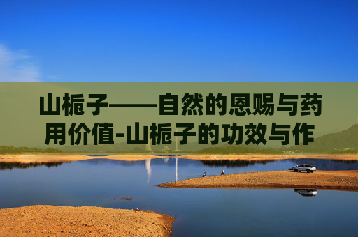 山栀子——自然的恩赐与药用价值-山栀子的功效与作用
