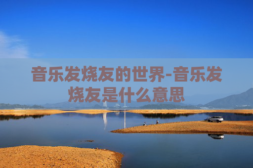 音乐发烧友的世界-音乐发烧友是什么意思