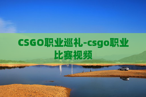 CSGO职业巡礼-csgo职业比赛视频