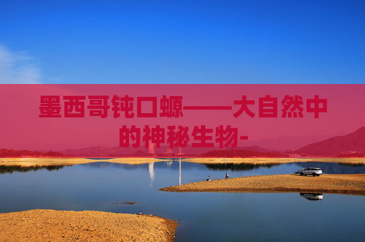 墨西哥钝口螈——大自然中的神秘生物-