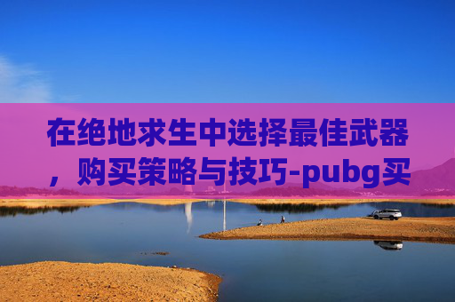 在绝地求生中选择最佳武器，购买策略与技巧-pubg买哪一个