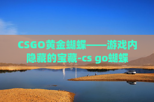 CSGO黄金蝴蝶——游戏内隐藏的宝藏-cs go蝴蝶