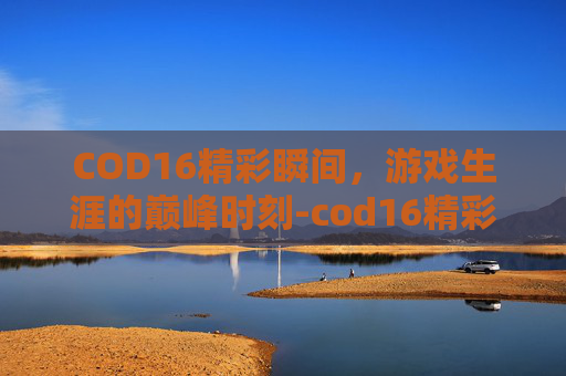 COD16精彩瞬间，游戏生涯的巅峰时刻-cod16精彩集锦